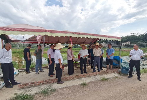 省農(nóng)業(yè)農(nóng)村廳領(lǐng)導(dǎo)調(diào)研我市水產(chǎn)種業(yè)與生態(tài)養(yǎng)殖發(fā)展情況