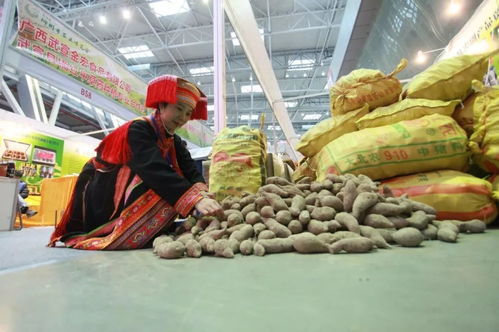 2019柳州農(nóng)博會(huì) 萬(wàn)種珍品薈萃，盡顯現(xiàn)代農(nóng)業(yè)風(fēng)采